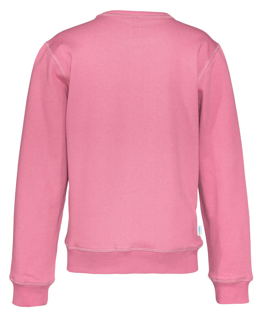 Textiltransfer, DTF-Transfer, magic-prints-textilveredelung-Arbeitskleidung Firmenkleidung Workwear sportbekleidung-t-shirt-hoodies-bedrucken sublimation-dtf-druck-sublimation-kleidungsedign-illustrationen-bedrucken individell gestalten