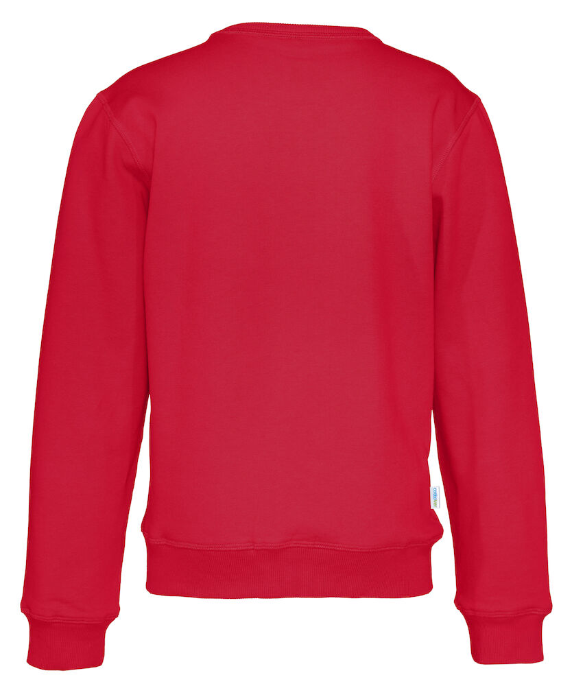 Textiltransfer, DTF-Transfer, magic-prints-textilveredelung-Arbeitskleidung Firmenkleidung Workwear sportbekleidung-t-shirt-hoodies-bedrucken sublimation-dtf-druck-sublimation-kleidungsedign-illustrationen-bedrucken individell gestalten