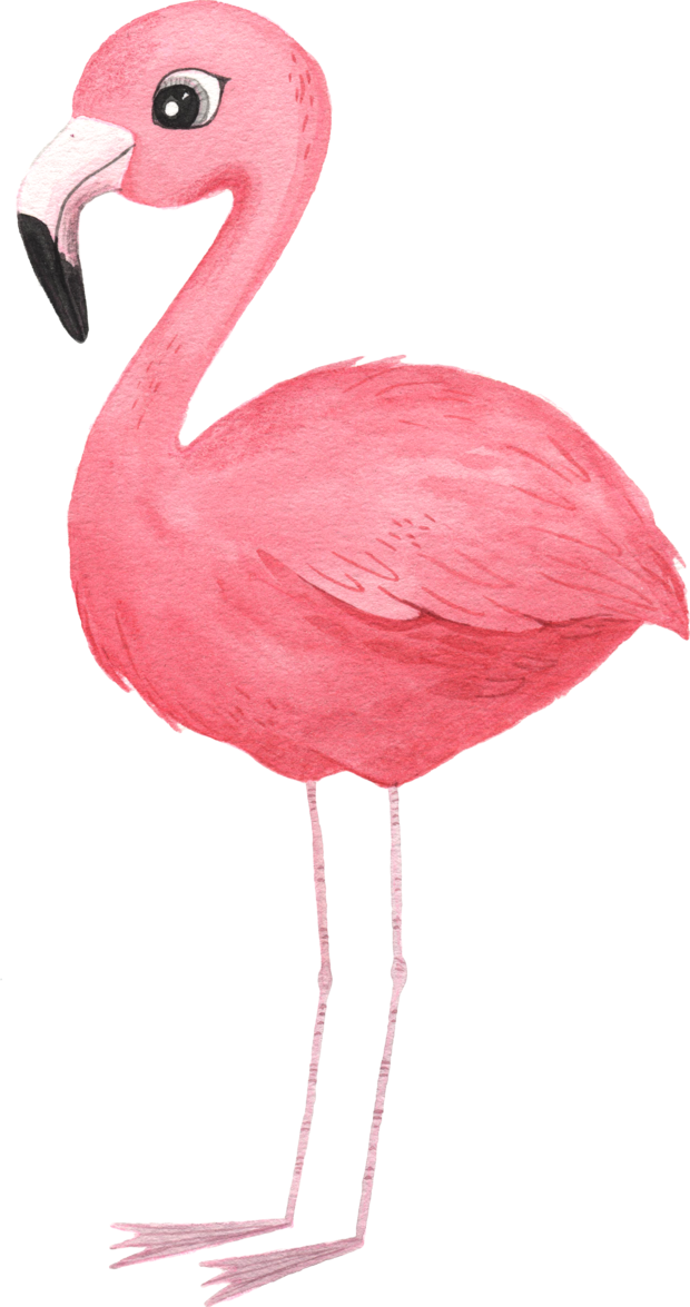 FLAMINGO AQUARELL